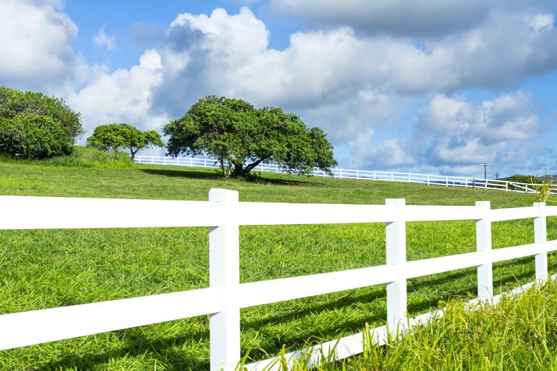 Fence detail